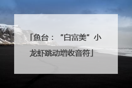 鱼台：“白富美”小龙虾跳动增收音符